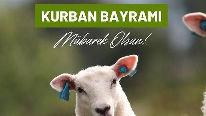 KURBAN BAYRAMI MESAJLARI EN YENİ | Resimli Bayram Mesajları 🤲 Aileye, akrabaya, arkadaşa, sevgiliye, en anlamlı dualı, WhatsApp bayram mesajları, dualı, en yeni bayram mesajları
