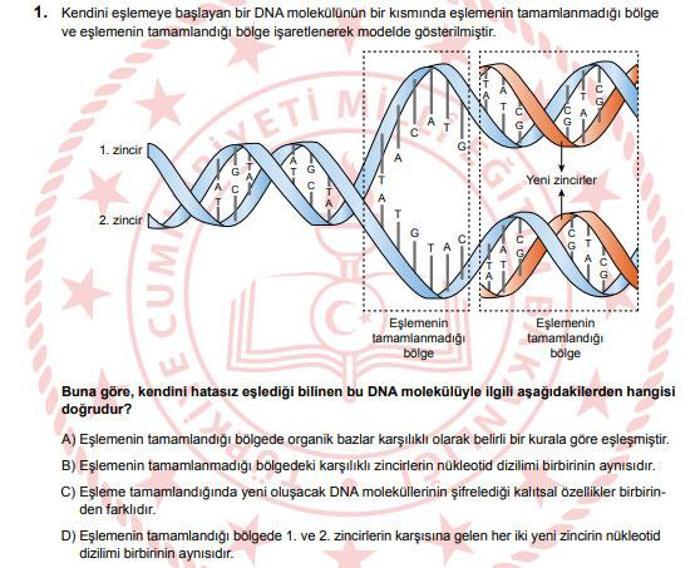 2025 LGS SORULARI VE CEVAP ANAHTARI MEB LGS sözel-sayısal soruları ve cevapları açıklandı Kitapçık sorgulama ekranı