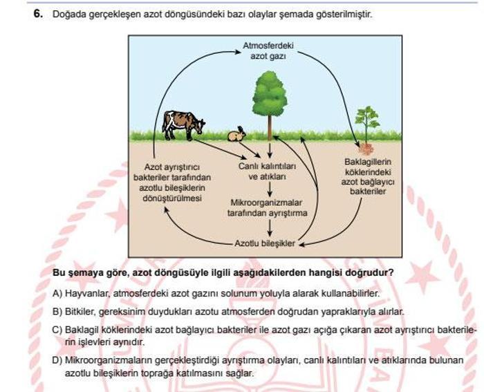 2025 LGS SORULARI VE CEVAP ANAHTARI MEB LGS sözel-sayısal soruları ve cevapları açıklandı Kitapçık sorgulama ekranı