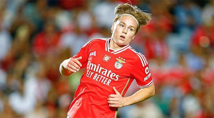 SCHJELDERUP VE GEDSON HEDEFTE