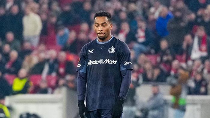 HEDEF QUINTEN TIMBER