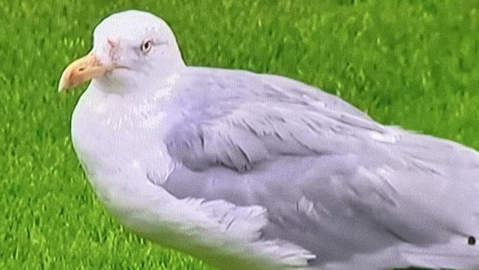 OYUN İÇİNDE KALDI