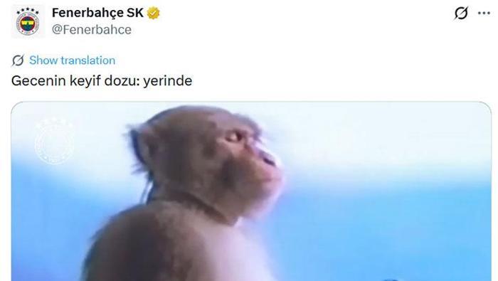 KEYİF DOZU; YERİNDE