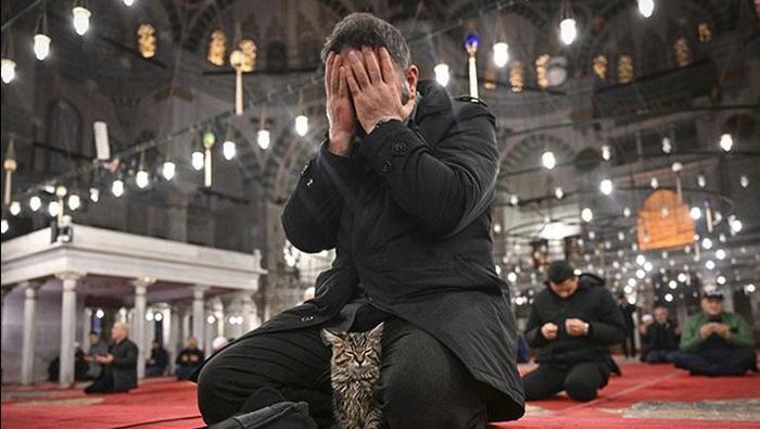 Miraç kandilinde okunacak sureler ve ayetler nelerdir Miraç gecesi okunacak Kuran sureleri