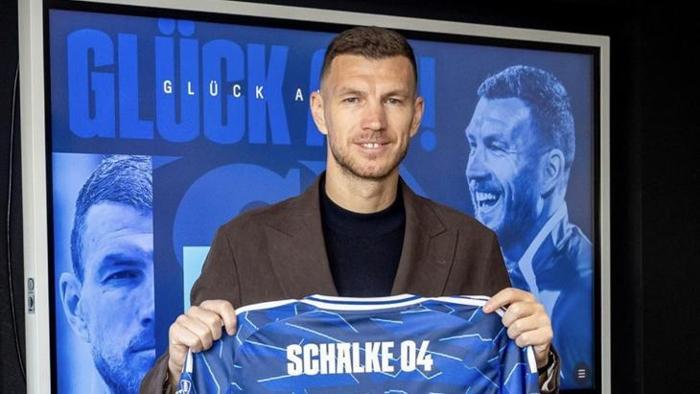 Edin Dzeko (Forvet) Fiorentina --> Schalke 04