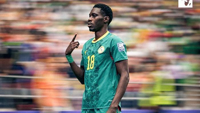 LEAO OLMAZSA SARR