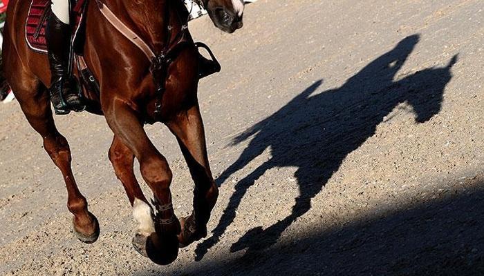 Cumhurbaşkanlığı Kupası'nı Goldplay isimli atıyla Uğur Yılmaz kazandı