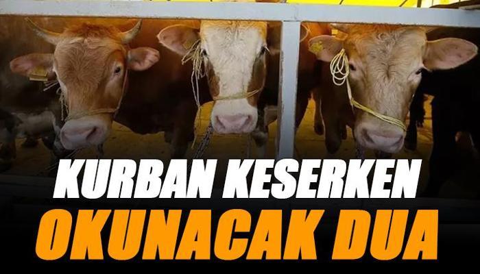 Kurban keserken okunacak dua hangisidir?