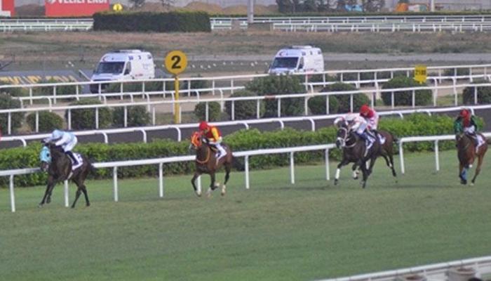 Celal Bayar Koşusu’nu Tor Gold kazandı