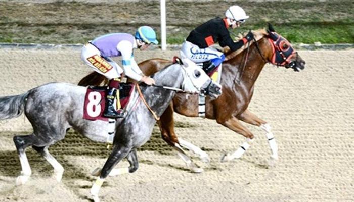 Kartepe Belediyesi Koşusu'nu Uluarat kazandı