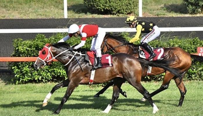 Sadettin Atığ Koşusu'nda kazanan Altınsima