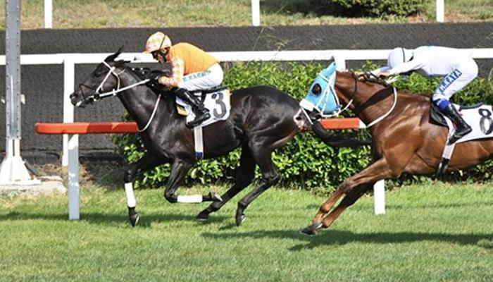 Fatih Sultan Mehmet Koşusu’nda zafer ikinci kez Burgas’ın oldu