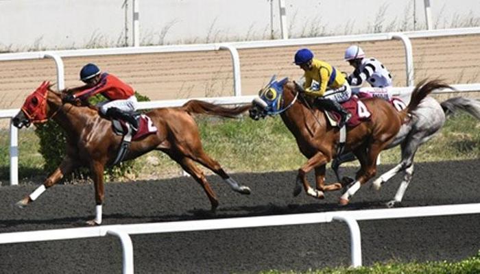 Safiyettin Sakarya Koşusu'nu Ömürünoğlu kazandı