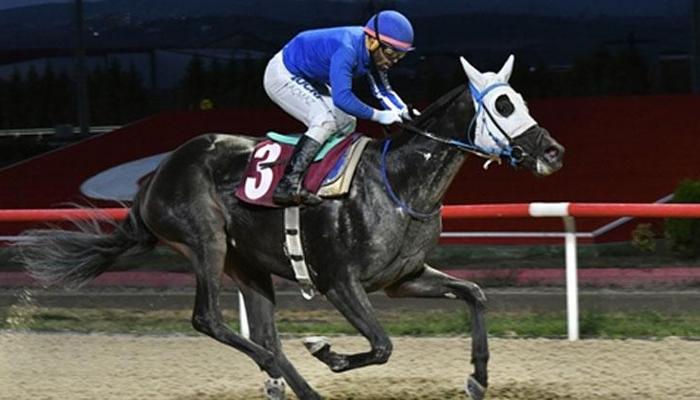 Kocaeli Sanayi Odası Koşusu'nda kazanan Livzara oldu