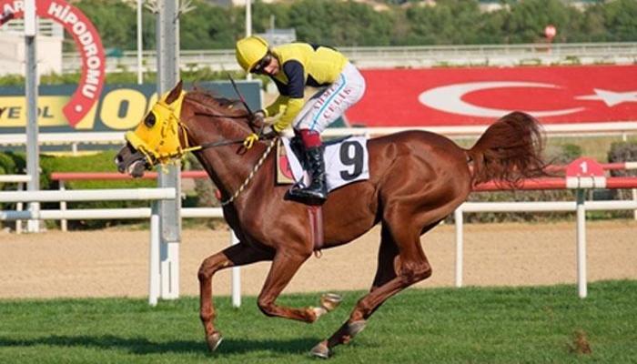 Anadolu Tarım İşletmesi Koşusu’nda zafer Kahramanoğlu’nun oldu