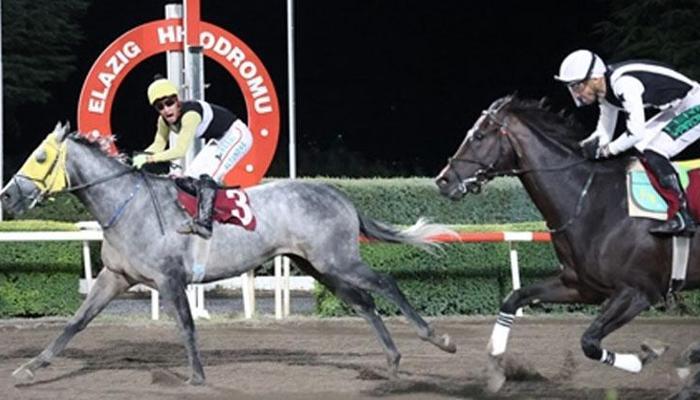 Prof. Dr. Mustafa Temizer Koşusu’nu King Heso kazandı