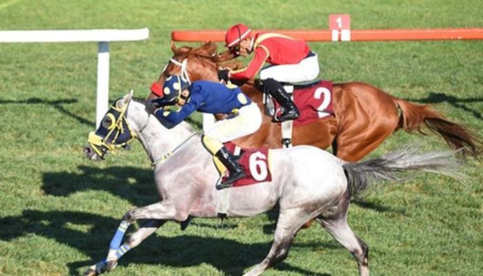 Bakırköy Belediye Başkanlığı Koşusu'nu Mister Win kazandı