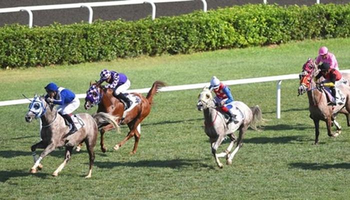 Aziziye Koşusu’nun galibi Özmen Bey oldu