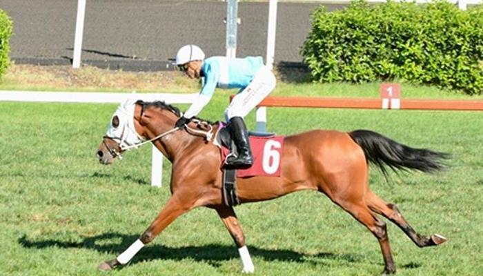 Halide Edip Adıvar Koşusu'nda birinciliğe Aman Dulo uzandı