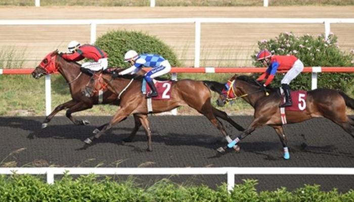 Zeki Sertol Koşusu'nu Know Worth kazandı