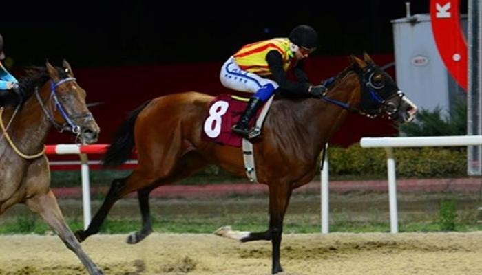 Kocaeli Veteriner Hekimler Odası Koşusu'nu Secret Mirror kazandı