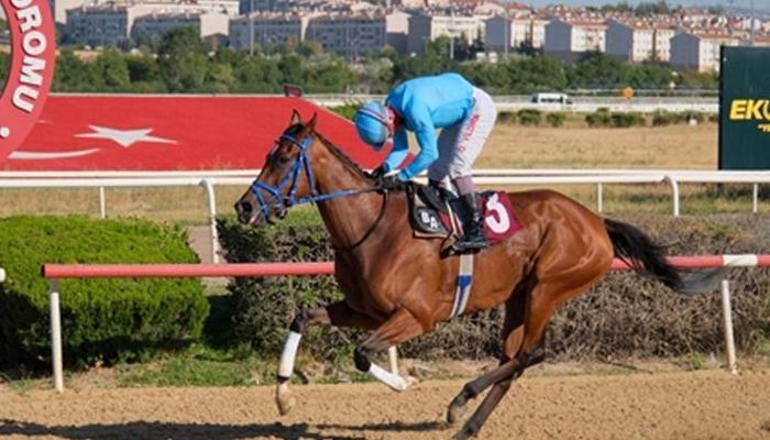 Nafiz Kurt Koşusu'nda birinciliğe Prenses Sylvester ulaştı