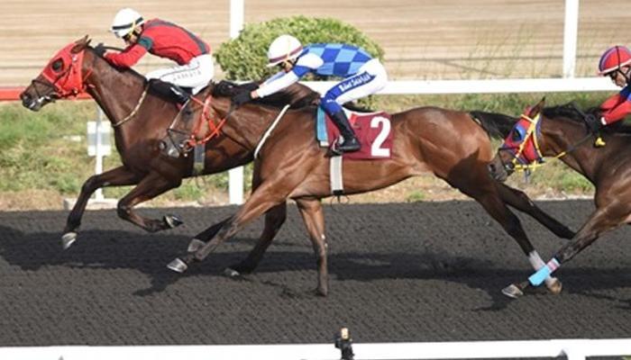 Zeki Sertol Koşusu'nu Know Worth kazandı