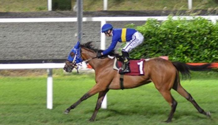 Edip Çizmeci Koşusu'nda kazanan Agatha oldu