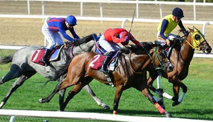 Behzat Ilgaz Koşusu'nda kazanan Father Mehmet