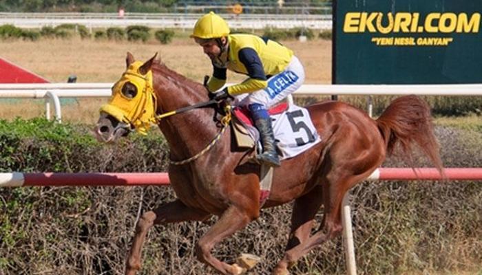 Sultansuyu Tarım İşletmesi Koşusu’nda zafere Kahramanoğlu ulaştı