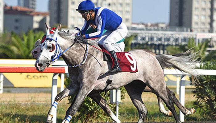 Prof. Dr. Sedat Katırcıoğlu Koşusu’nu Zeybek Yavuz kazandı