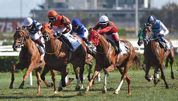 Büyük Taarruz Koşusu’nda zafere Galioğlu uzandı