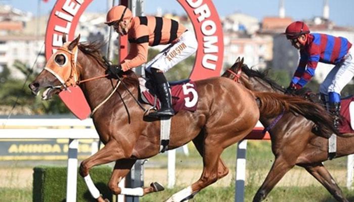 Serdar Kemal Özçolak Koşusu’nda kazanan Shinny oldu