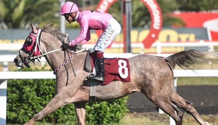 Hasan Polat Koşusu'nda birinciliğe Serhunefe uzandı