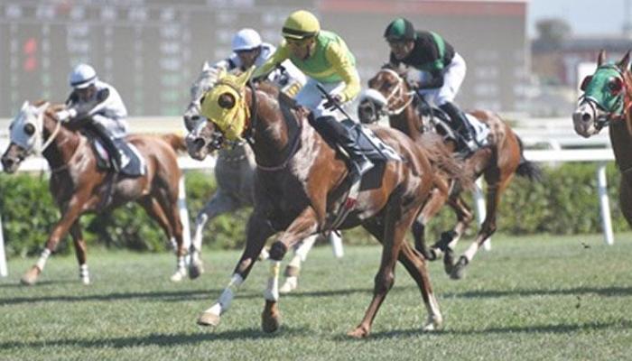 Omurilik Felçlileri Günü Koşusu'nu Invincible kazandı