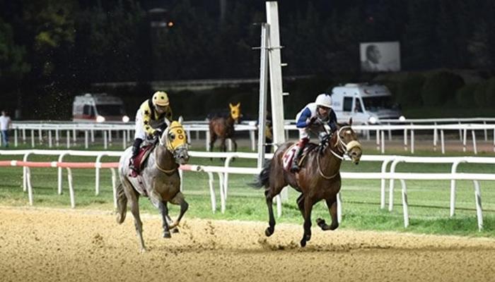 Aydın Adnan Menderes Üniversitesi Veteriner Fakültesi Koşusu’nu High Way King kazandı