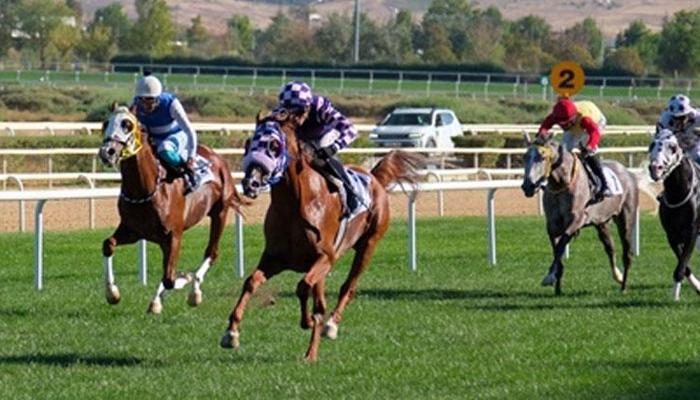 TİGEM Koşusu'nda birinciliğe Kayıpsız uzandı