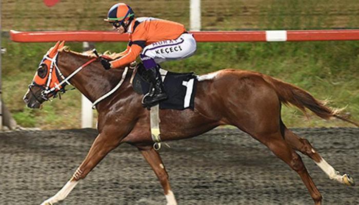 Horse Racing Ireland Koşusu’nda galibiyetin adı Farewell Kiss