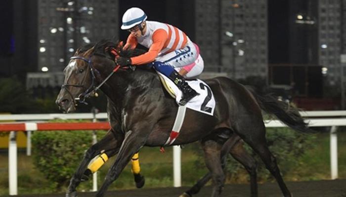 Uluslararası France Galop Anadolu Koşusu’nda galibiyete uzanan Captain Fantastic oldu