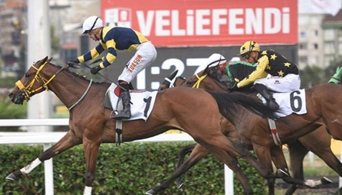 Uluslararası Kraliçe II. Elizabeth Koşusu’nda kazanan Brando