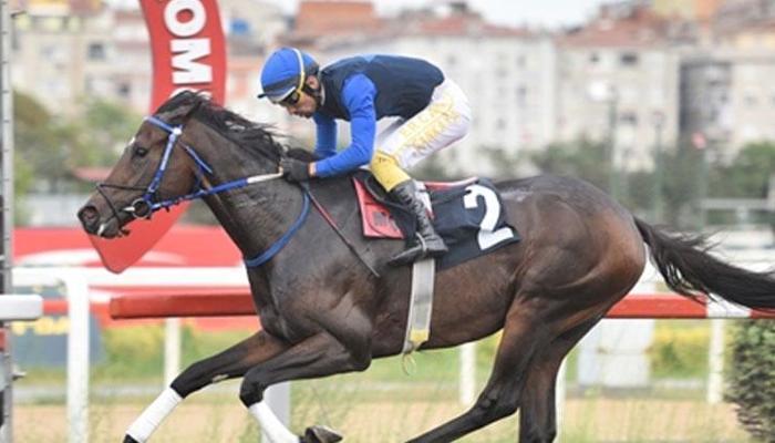 Güney Amerika Safkan İngiliz Atı Organizasyonu OSAF Koşusu’nu Power Of Hakeem kazandı