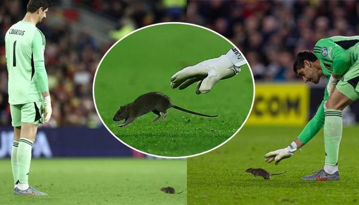 Sahaya fare girdi Courtois zor anlar yaşadı