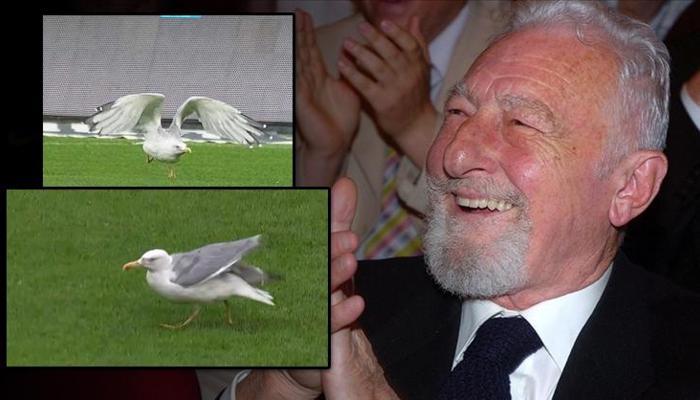 Beşiktaş - Samsunspor maçına damga vuran 'Martı'!