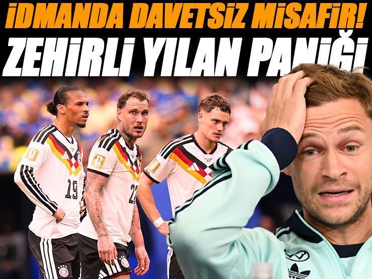 Almanya Milli Takım kampında zehirli yılan paniği! Antrenmanda davetsiz misafir...