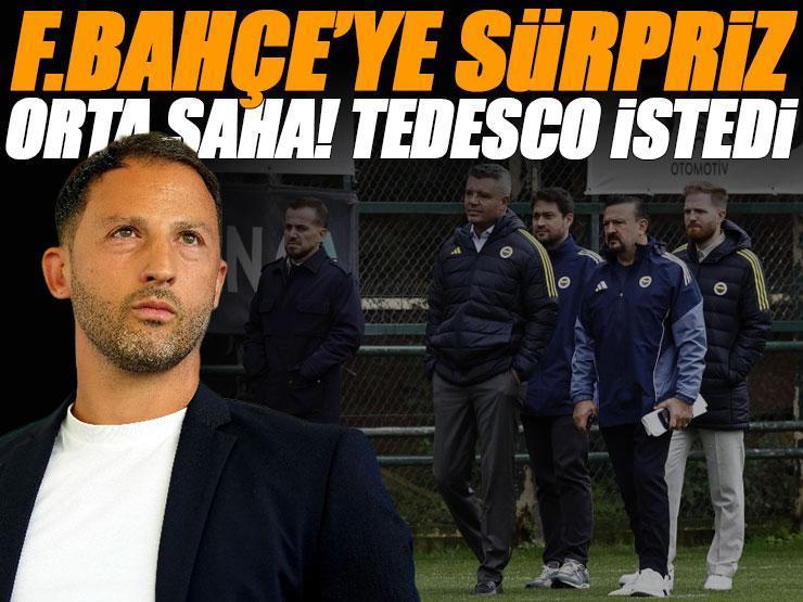 Fenerbahçe'de rota yeniden Avusturyalı yıldız! Takas teklifi yapılacak