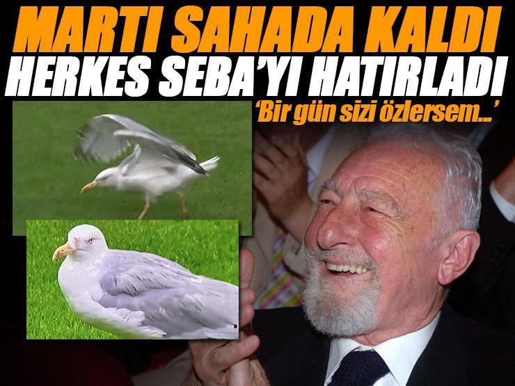 Beşiktaş - Samsunspor maçına damga vuran 'Martı'! Süleyman Seba'nın sözleri gündem oldu: 'Bir gün sizi özlersem...'
