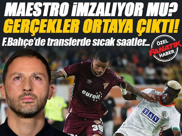 ÖZEL | İşte Fenerbahçe-Maestro gerçekleri! Transferde son dakika...
