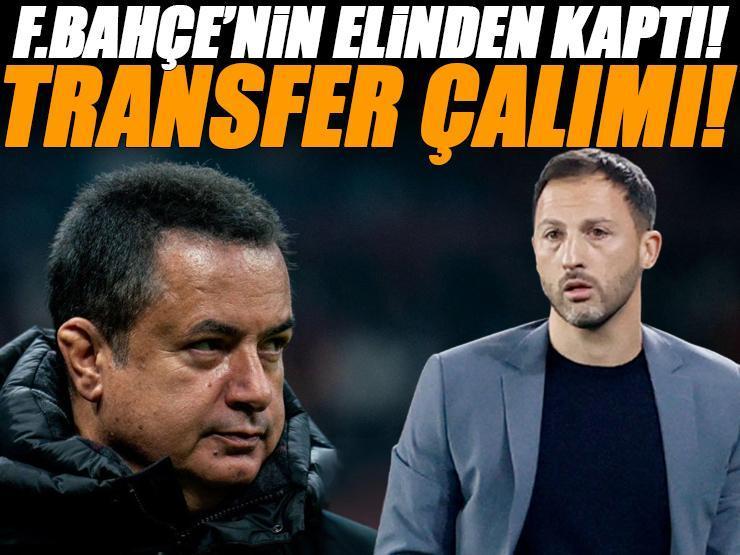 Acun Ilıcalı'dan Fenerbahçe'ye dev transfer çalımı! Fenerbahçe'nin elinden kaptı