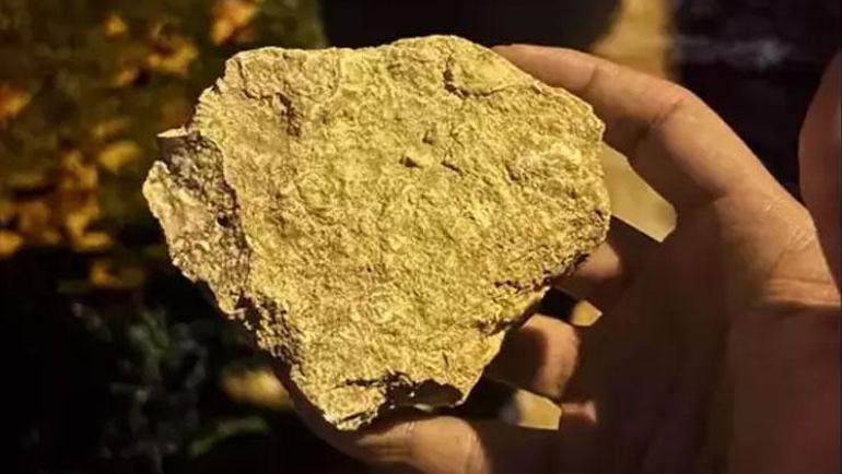 Göksenin Köksal, Galatasarayda başarısızlığın nedenini açıkladı